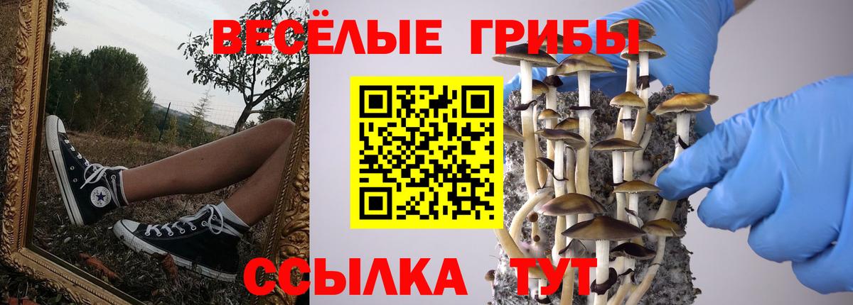 Гурьевск  Галлюциногенные грибы MAGIC MUSHROOMS  Вход с VPN  Псилоцибиновые грибы мицелий 